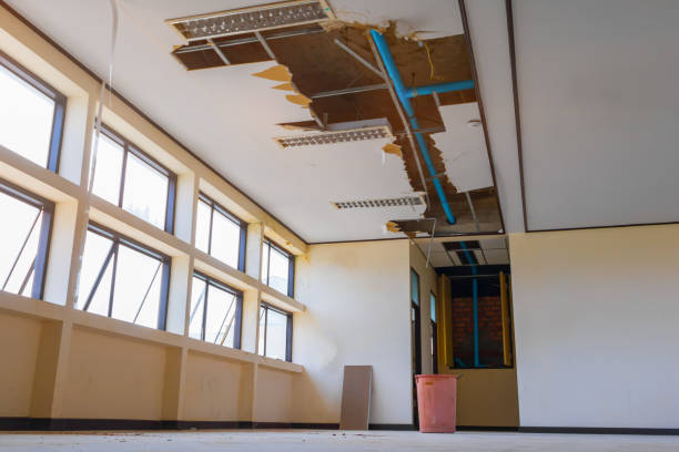Best Basement water damage restoration  in Solon, IA