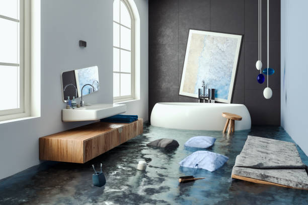 Best Ceiling water damage repair  in Solon, IA