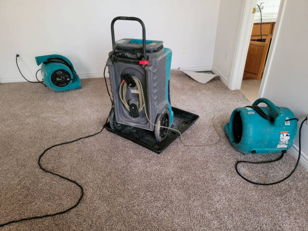 Best Water damage restoration cost  in Solon, IA