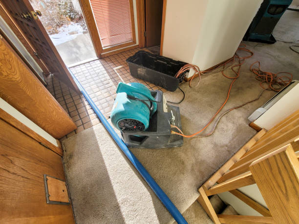 Best Fire Damage Restoration  in Solon, IA