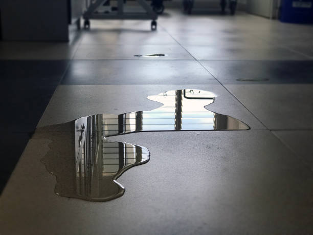 Best Water damage repair service  in Solon, IA