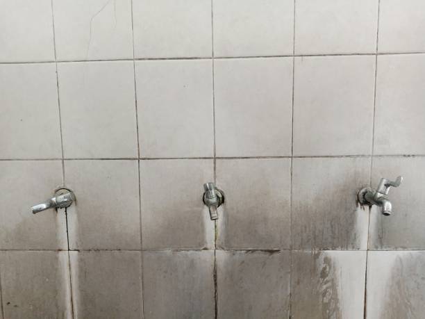 Best Sewage cleanup and water damage restoration  in Solon, IA