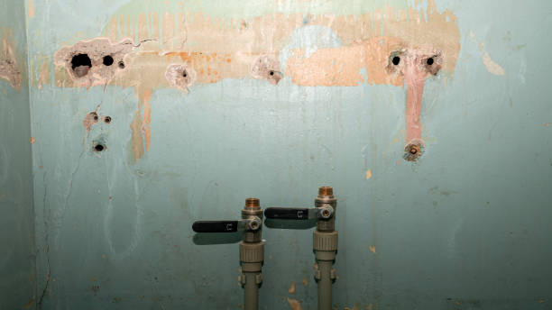 Best Flood damage cleanup  in Solon, IA