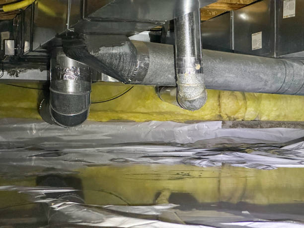 Best Professional water damage repair  in Solon, IA