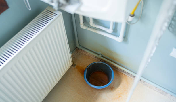 Best Commercial water damage restoration  in Solon, IA