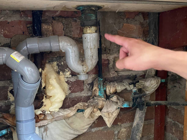 Best Local water damage restoration  in Solon, IA