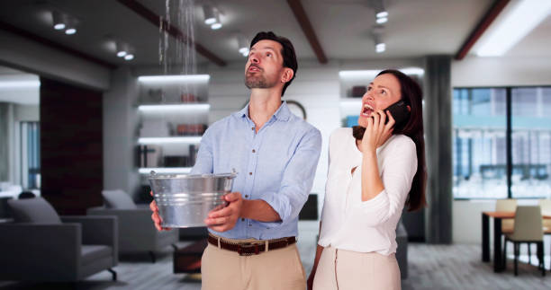 Best Carpet water damage restoration  in Solon, IA