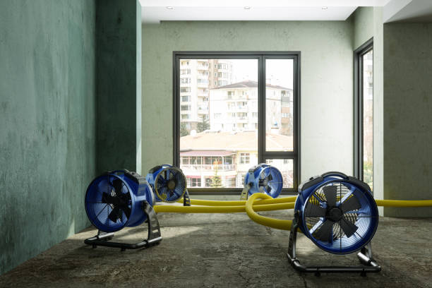 Best Basement water damage restoration  in Solon, IA