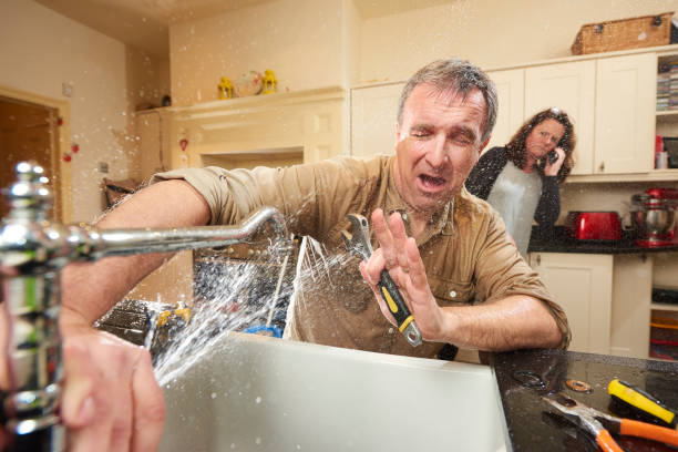Best Water damage cleanup near me  in Solon, IA